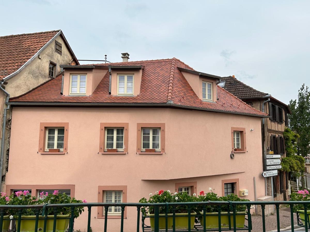 Gite Ma Maison Kintzheim Exterior foto